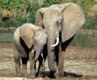 Μαμά ελέγχει το μικρό ελέφαντα με τη βοήθεια του κορμού της